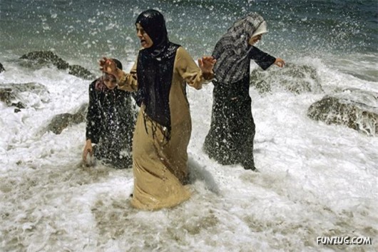 Amazing Pictures of the Day