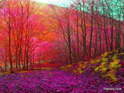 This is What We Call Autumn