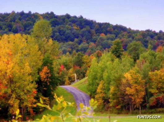 This is What We Call Autumn