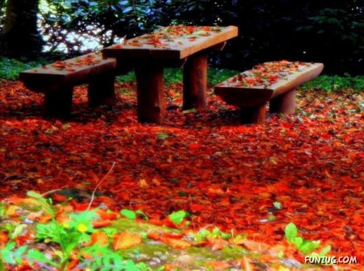 This is What We Call Autumn