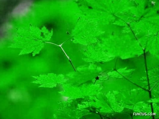 This is What We Call Autumn