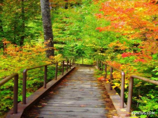 This is What We Call Autumn