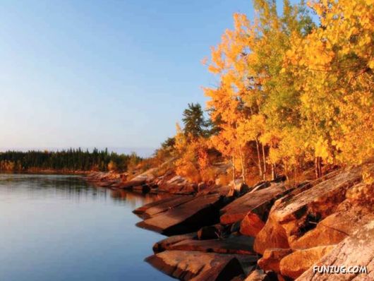 This is What We Call Autumn