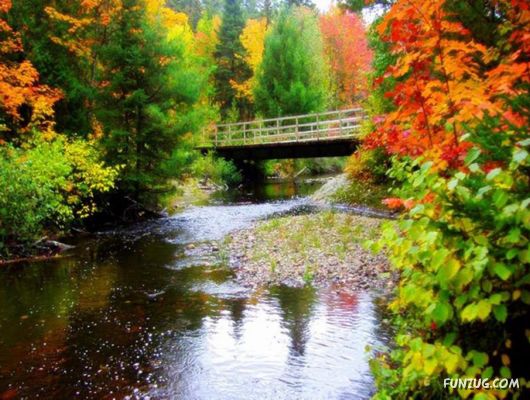 This is What We Call Autumn