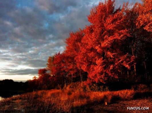 This is What We Call Autumn