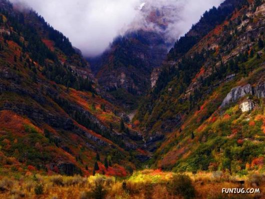 This is What We Call Autumn