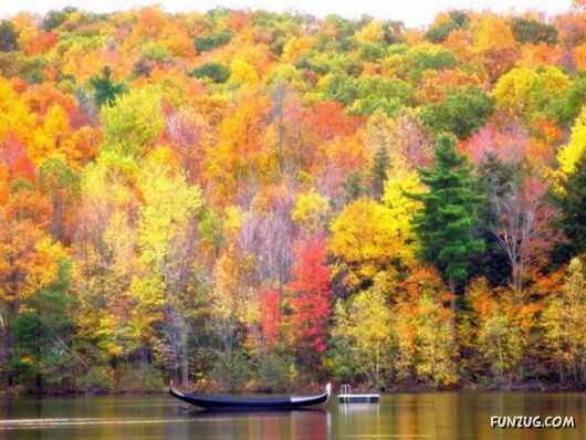 This is What We Call Autumn