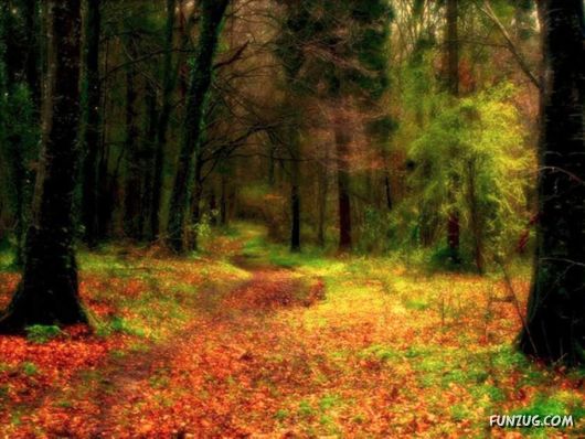 This is What We Call Autumn