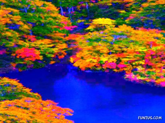 This is What We Call Autumn