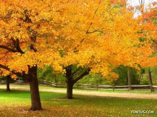 This is What We Call Autumn