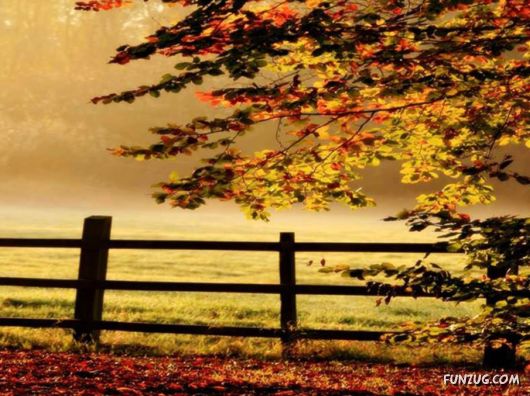 This is What We Call Autumn