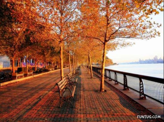 This is What We Call Autumn