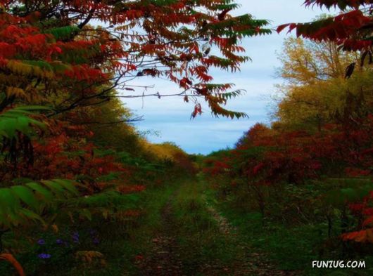 This is What We Call Autumn