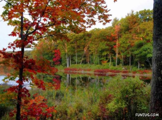 This is What We Call Autumn