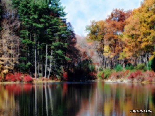 This is What We Call Autumn