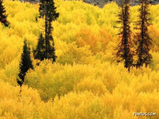 This is What We Call Autumn