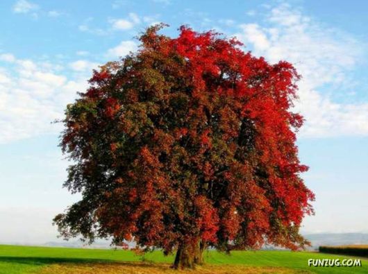 This is What We Call Autumn