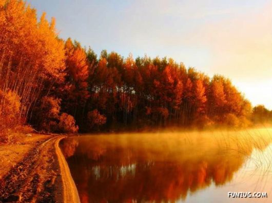 This is What We Call Autumn