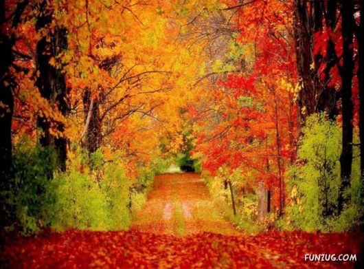 This is What We Call Autumn