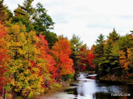 This is What We Call Autumn