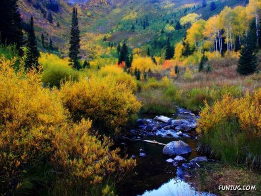 This is What We Call Autumn