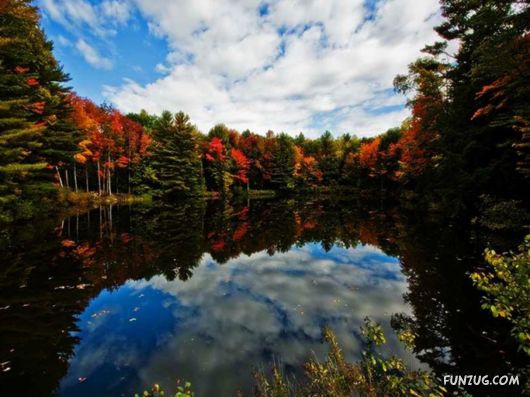 This is What We Call Autumn