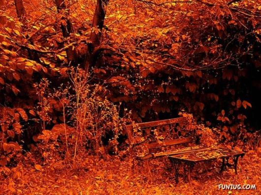 This is What We Call Autumn