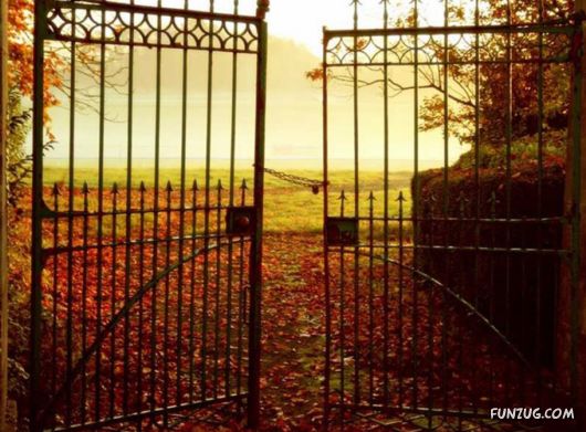 This is What We Call Autumn