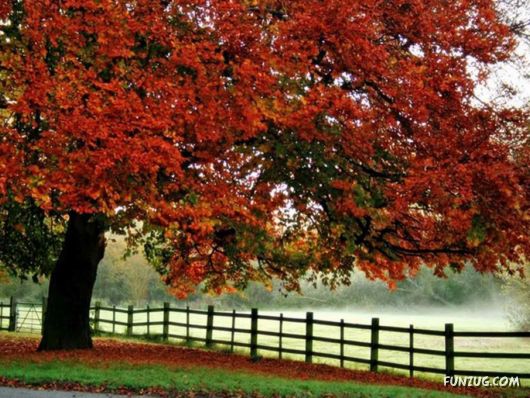 This is What We Call Autumn