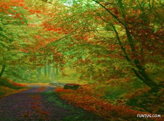 This is What We Call Autumn