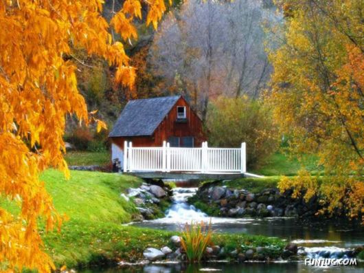 This is What We Call Autumn