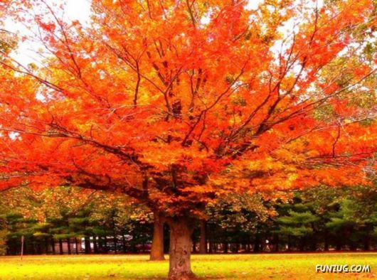 This is What We Call Autumn