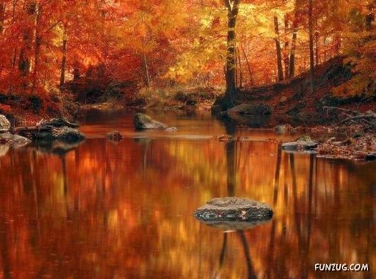 This is What We Call Autumn