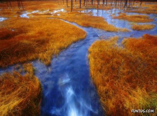 This is What We Call Autumn