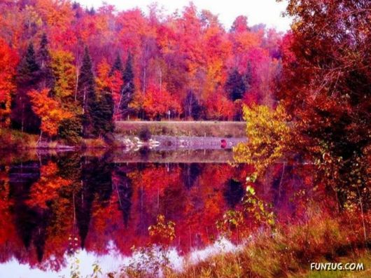 This is What We Call Autumn