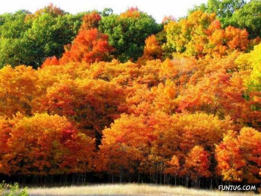 This is What We Call Autumn