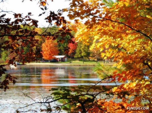 This is What We Call Autumn