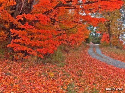 This is What We Call Autumn