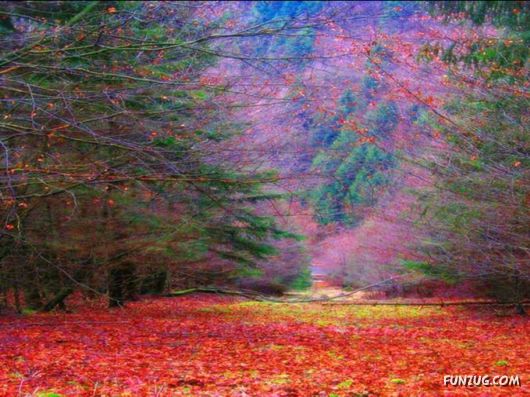 This is What We Call Autumn