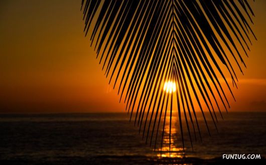 Beautiful Sunsets Photography