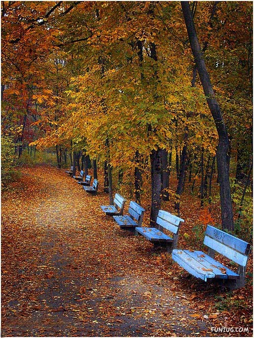 Natural Beauty of Bulgeria