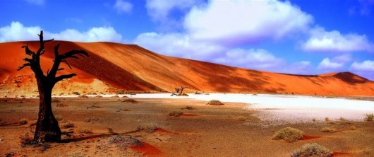 This is Called Beautiful Photography