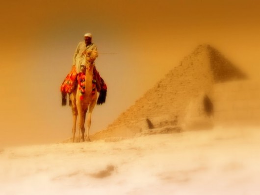 This is Called Beautiful Photography