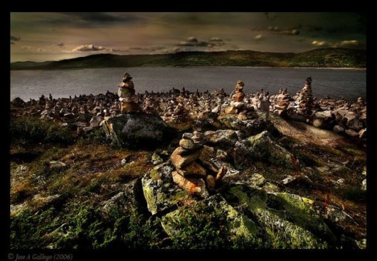 Some Cool Nature Sceneries