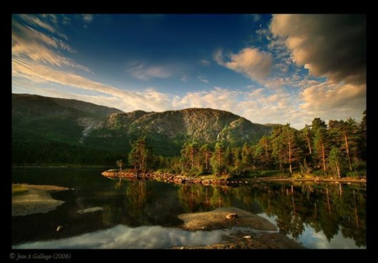 Some Cool Nature Sceneries