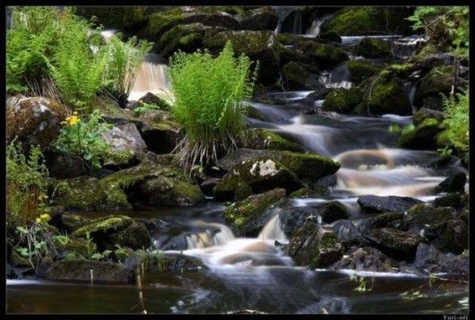 Some Cool Nature Sceneries