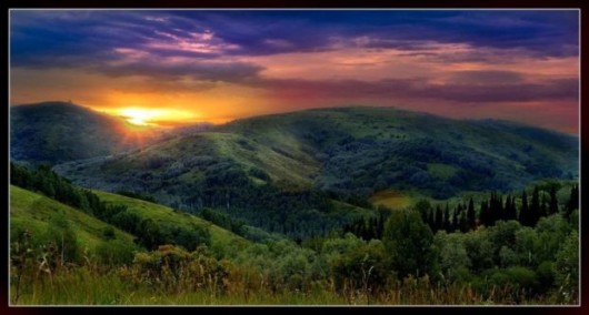 Some Cool Nature Sceneries