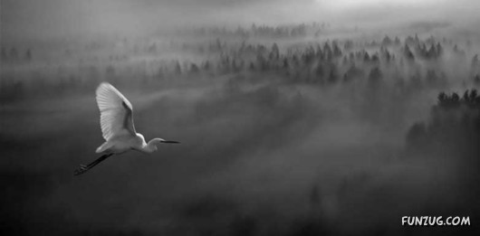 Floating Over the Clouds