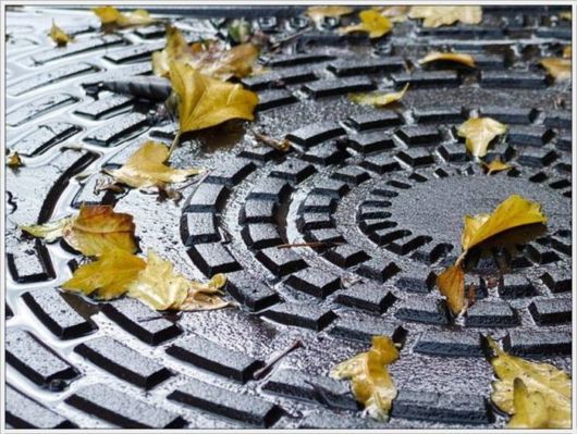 Beauty Of The Golden Nature