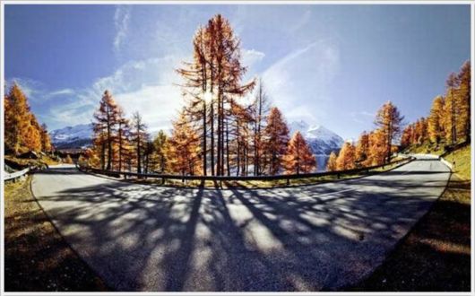 Beauty Of The Golden Nature